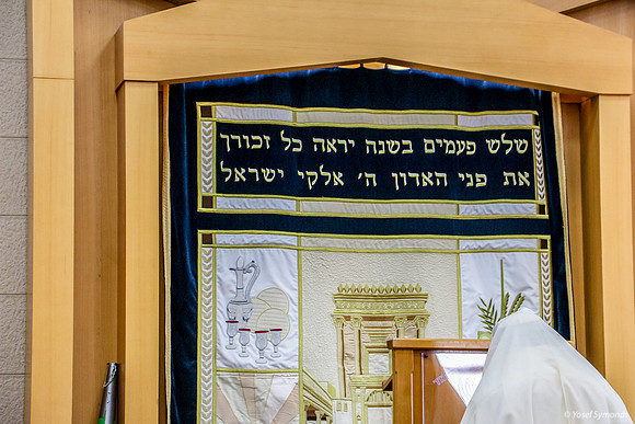 Prayer Leader Before Holy Ark 3