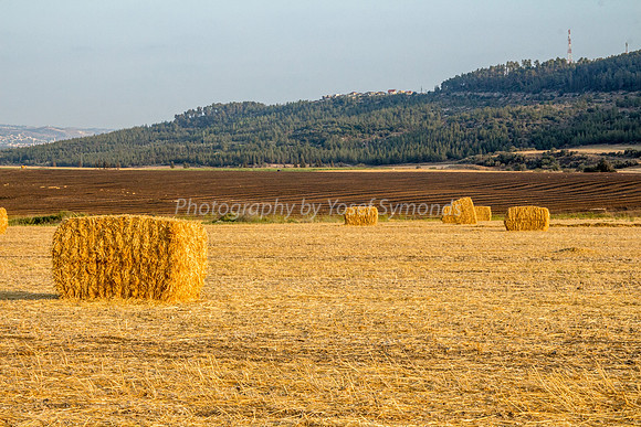 Haystacks Spread in Field 170721-37