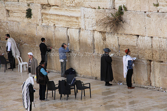 Western Wall קוטל המערבי