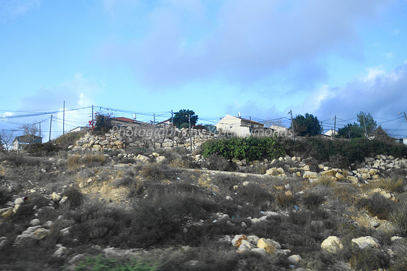 Looking Up at Neria Houses 1