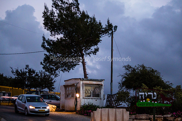 131204-Neria-7704