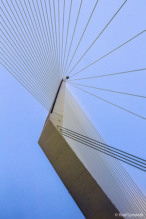 160313-StringBridge-4881