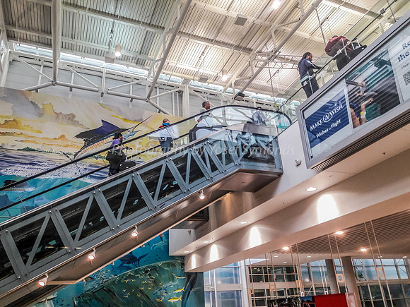 Fort Lauderdale Airport Displaying Its Colors 190127-2