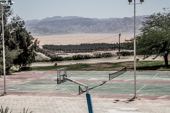Tennis Courts and Date Palms Grofit