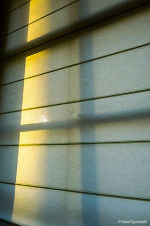 Morning Sun on Blind