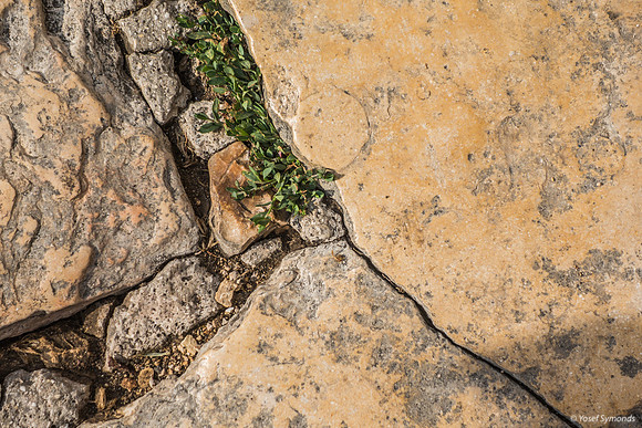 Cracks on Har Habayit 220804-2