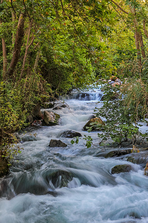130528-Hula_Valley-2383-2