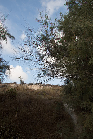 Bike Trail End Opposite Mishkafayim 7986