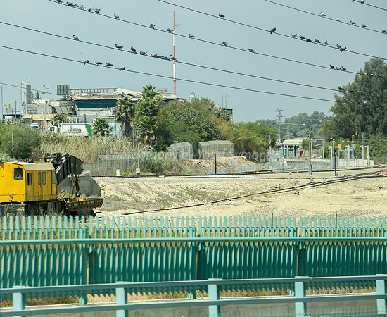 Birds on Wires