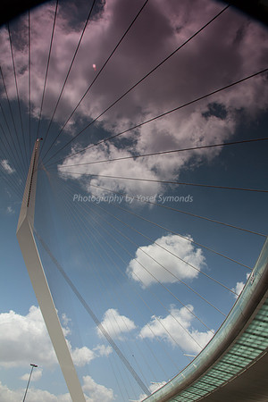 160529-StringBridge_Jerusalem-6913