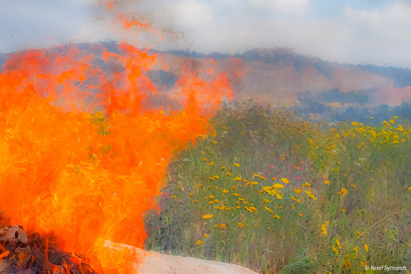 Monet Version - Roaring Fire Consuming Chametz 250411-1