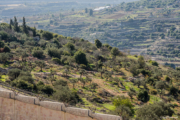 Illegal Agricultural Use of State Land  221220-6