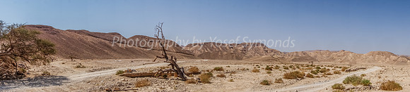 Memorial Site Panorama 181008-3