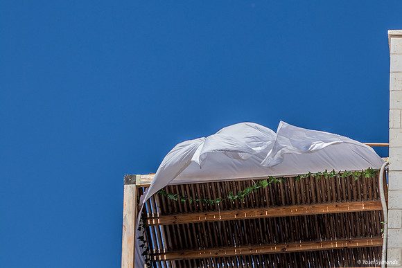 BillowingIn the Breeze 221016-1