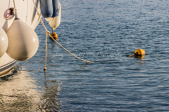 Moored Boat Closeup 181008-1