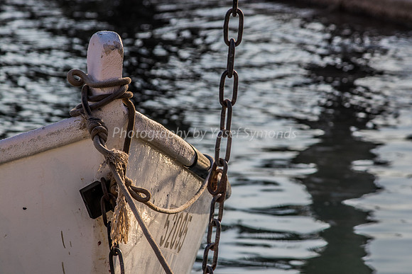 Moored Boat Closeup 181008-4