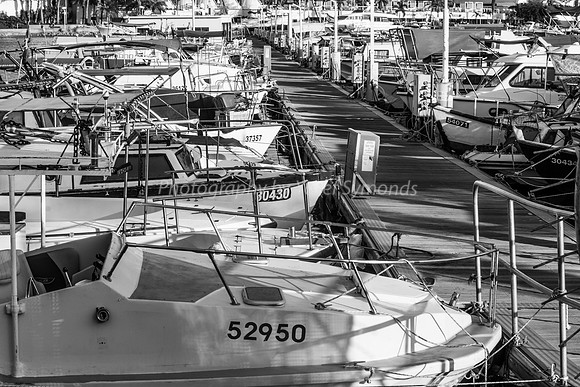 Boats Moored in Port 181008-2