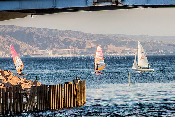 Sail Surfers 181008-1