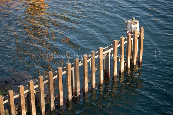 Marine Fence 181008-1
