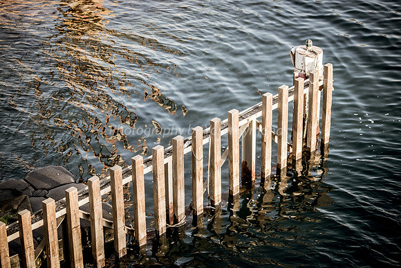 Marine Fence 181008-2