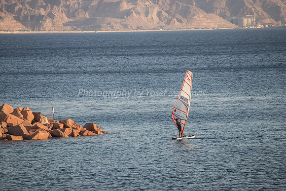 Sail Surfer 181008-14