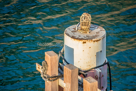 Marine Fence 181008-3
