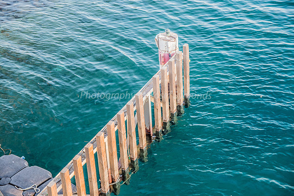 Marine Fence 181008-6
