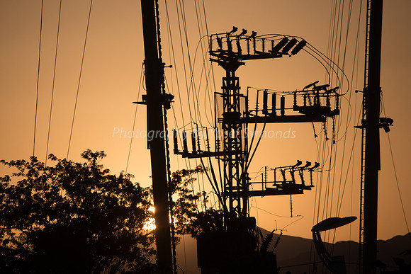 Spiking Nature 181008-2