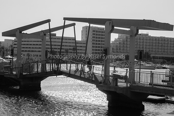 Crossing the Bridge 181008-4