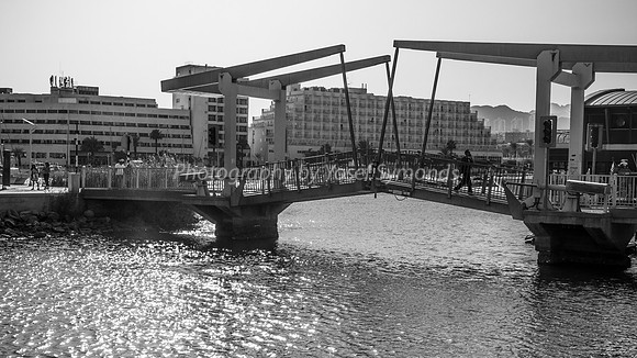 Crossing the Bridge 181008-5