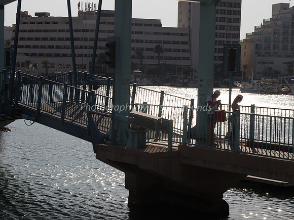 Crossing the Bridge 181008-6