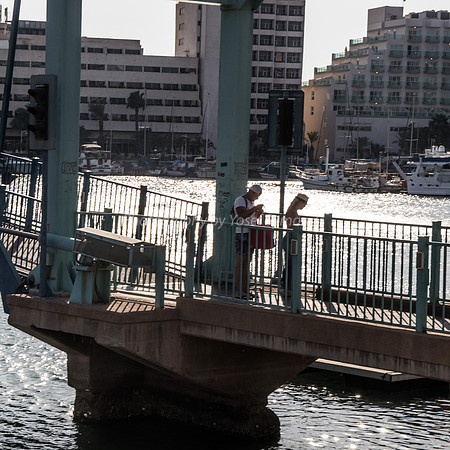 Crossing the Bridge 181008-7