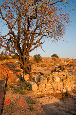 120711-Antiquities_b4sunset_5945-2