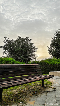 Sun and Park Bench on Maor 170711-2