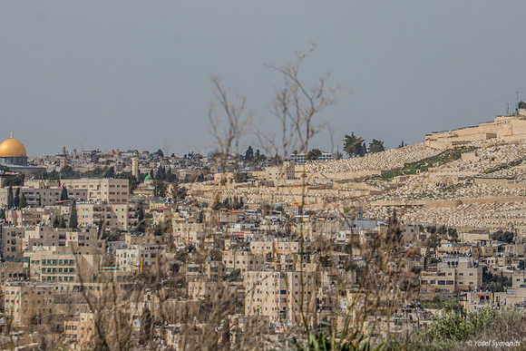 Mount of Olives and Dome of Rock Looking WNW 220306-2