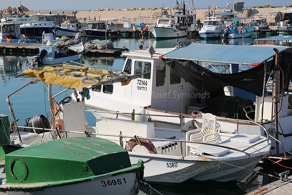 Jaffa Fishing Port