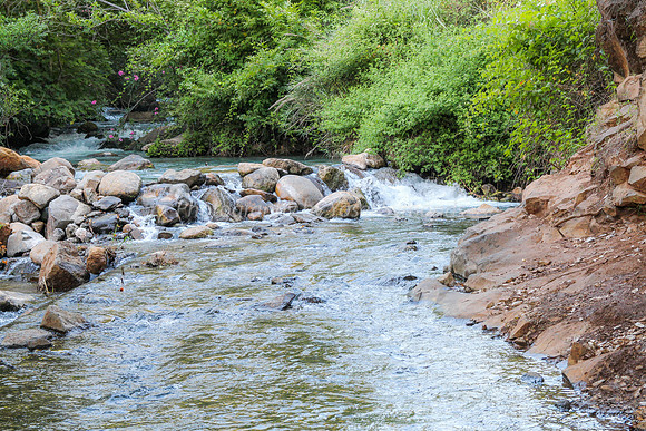 130528-Hula_Valley-2369-2