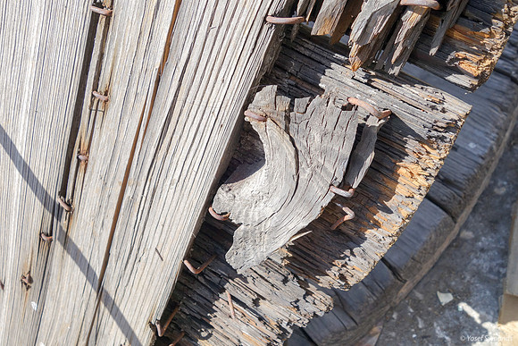 Old Wood - Givat Shaul Jerusalem 1
