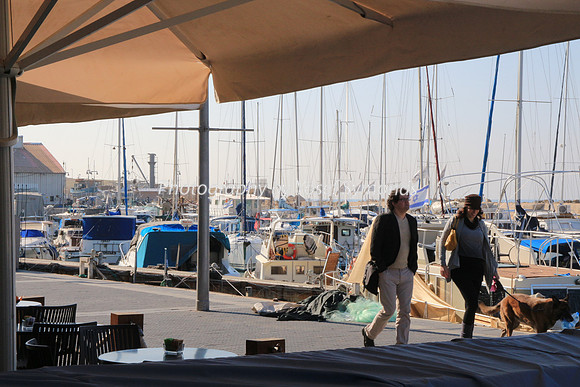 Jaffa Fishing Port