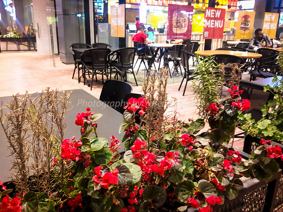 Outside Walkway Shaar Hair Mall Beit Shemesh 2