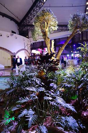DSC09059-3