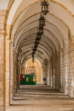 Western Cloisters 181120-2