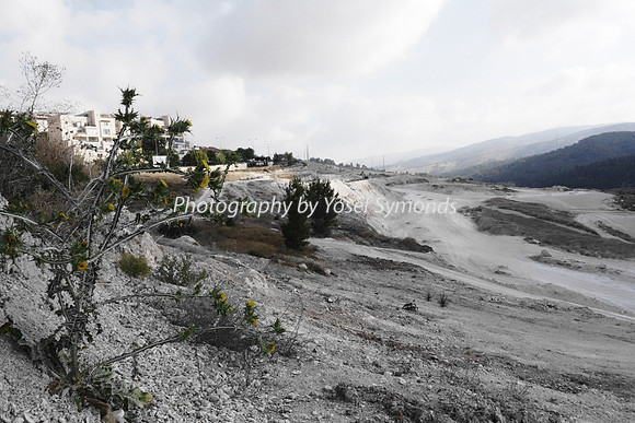Mishkafayim 2014 Q3 DSC02143 (2)