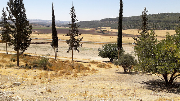 Harvested Hay Kibbutz Netiv Halamed Heh 3