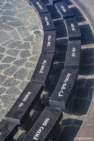 Names of Fallen on Black Blocks in Pool