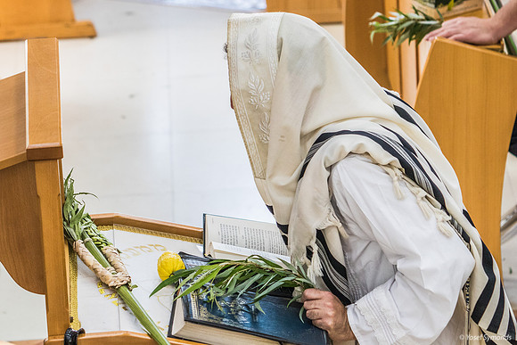 Leader Holding Aravot (Willow Twigs) Before Beating 191020-9