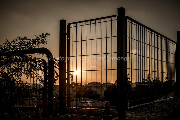 Fence Before Sunset 1