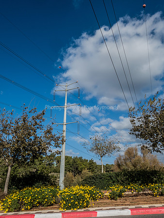 High Voltage Transmission Line 181212-1
