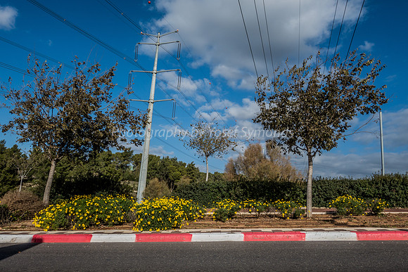 High Voltage Transmission Line 181212-2