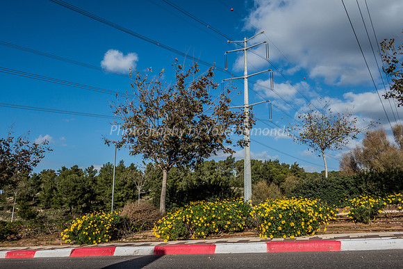 High Voltage Transmission Line 181212-4